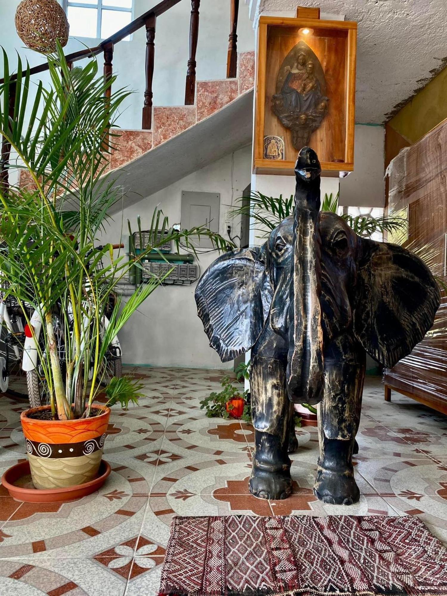 Casa Gajah Hot埃尔库约 外观 照片
